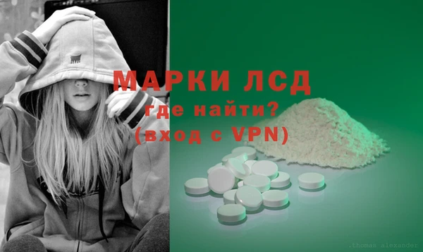 ПСИЛОЦИБИНОВЫЕ ГРИБЫ Пестово