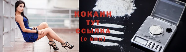 дурь Пересвет