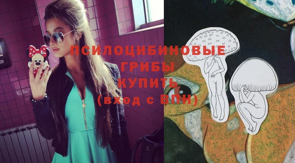 ПСИЛОЦИБИНОВЫЕ ГРИБЫ Пестово