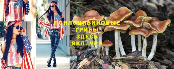 дурь Пересвет
