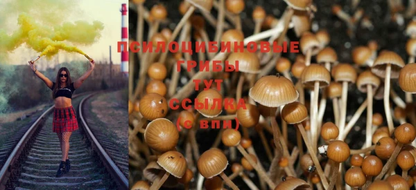 ПСИЛОЦИБИНОВЫЕ ГРИБЫ Пестово