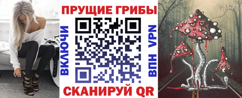 Псилоцибиновые грибы прущие грибы где найти Урень